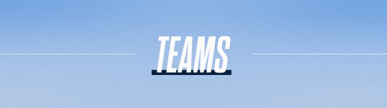 25-YS-Academy-Website-Buttons-Teams-WebHeader