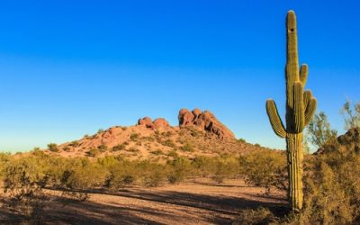 The sonoran desert landscape of the cactus and sandstone buttes at Papago Park in Phoenix, Arizona.